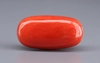 Italian Red Coral - 17.65 Carat Rare Quality CC-5911