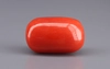 Italian Red Coral - 15.89 Carat Rare Quality CC-5925