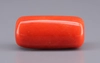 Italian Red Coral - 16.58 Carat Limited Quality CC-5930