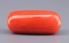 Italian Red Coral - 13.34 Carat Limited Quality CC-5934