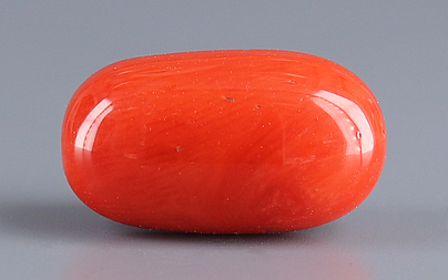 Italian Red Coral - 8.31 Carat Rare Quality CC-5937