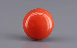 Japanese Red Coral - 4.21 Carat Rare Quality CC-5945