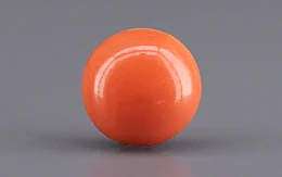 Japanese Red Coral - 3.58 Carat Rare Quality CC-5946