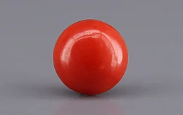 Japanese Red Coral - 2.31 Carat Rare Quality CC-5947