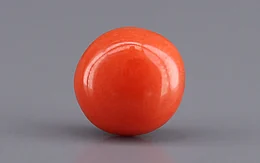 Japanese Red Coral - 2.74 Carat Limited Quality CC-5948