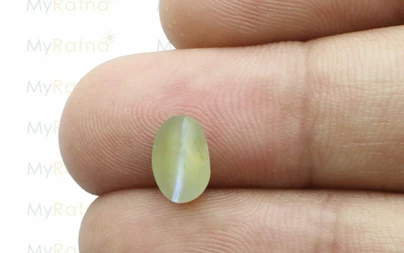 Cat's Eye - CE 10506 (Origin - Cylone) Limited - Quality