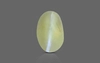 Cat's Eye - CE 10506 (Origin - Cylone) Limited - Quality