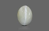 Cat's Eye - CE 10613 (Origin - Cylone) Limited - Quality