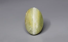 Ceylon Cat's Eye - CE 10645 Prime-Quality 2.71-Carat