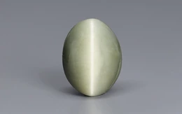 Cat's Eye - 9.42 Carat Prime Quality CE-10664