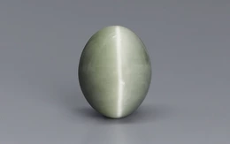 Cat's Eye - 10.04 Carat Prime Quality CE-10674