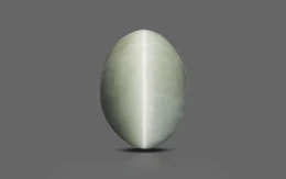 Cat's Eye - 7.1 Carat Prime Quality CE-10675