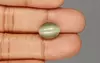 Cat's Eye - 6.63 Carat Prime Quality CE-10681