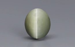 Cat's Eye - 6.13 Carat Prime Quality CE-10694