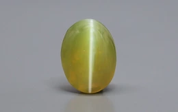 Ceylon Cat's Eye - 3.02 Carat Rare Quality CE-10712