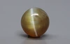 Ceylon Cat's Eye - 2.26 Carat Limited Quality CE-10718