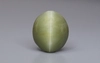 Cat's Eye - 6.72 Carat Prime Quality CE-10725