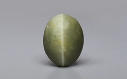 Cat's Eye - 5.72 Carat Prime Quality CE-10726