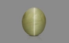 Cat's Eye - 3.07 Carat Prime Quality CE-10728