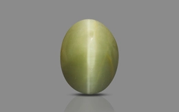 Cat's Eye - 3.19 Carat Prime Quality CE-10739