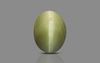 Cat's Eye - 3.19 Carat Prime Quality CE-10739