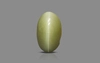 Cat's Eye - 2.71 Carat Prime Quality CE-10756