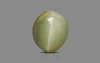 Cat's Eye - 2.99 Carat Prime Quality CE-10757