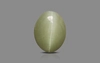 Cat's Eye - 3.3 Carat Prime Quality CE-10762