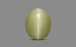 Cat's Eye - 2.53 Carat Prime Quality CE-10764