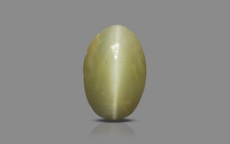 Cat's Eye - 2.53 Carat Prime Quality CE-10770