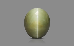 Cat's Eye - 7.71 Carat Prime Quality CE-10773