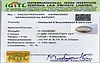 certificate_imageCE-10781-90689.jpg