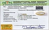 certificate_imageCE-10782-7366.jpg