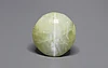 Ceylon Cat's Eye - 7.27 Carat Prime Quality CE-10785