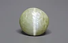 Ceylon Cat's Eye - 7.28 Carat Prime Quality CE-10789