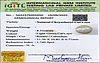 certificate_imageCE-10791-43051.jpg