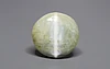 Ceylon Cat's Eye - 8.52 Carat Prime Quality CE-10791