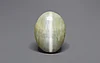 Ceylon Cat's Eye - 8.65 Carat Prime Quality CE-10792
