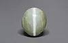 Ceylon Cat's Eye - 8.85 Carat Prime Quality CE-10794