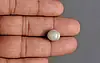 Ceylon Cat's Eye - 8.85 Carat Prime Quality CE-10794