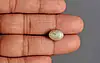 Ceylon Cat's Eye - 8.25 Carat Prime Quality CE-10795