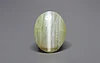 Ceylon Cat's Eye - 8.21 Carat Limited Quality CE-10800