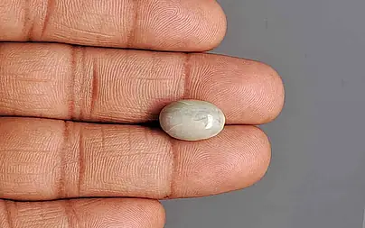 Ceylon Cat's Eye - 10.37 Carat Prime Quality CE-10807