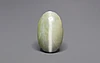 Ceylon Cat's Eye - 10.37 Carat Prime Quality CE-10807