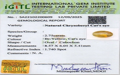 certificate_imageCE-10809-94831.jpg