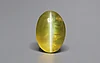 Ceylon Cat's Eye - 2.75 Carat Rare Quality CE-10809