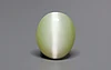 Ceylon Cat's Eye - 2.96 Carat Rare Quality CE-10810