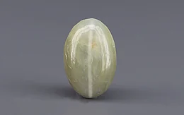 Ceylon Cat's Eye - 7.77 Carat Prime Quality CE-10814