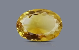 Citrine - CIT 11504 Limited - Quality