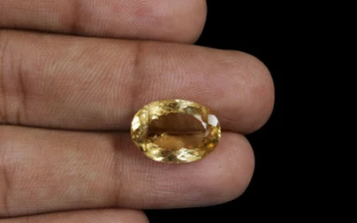 Citrine - CIT 11552 Limited - Quality